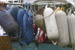 Safety Bumpers